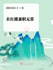 在红楼惩恶扬善章节列表