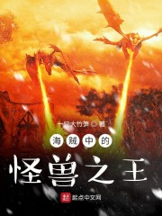 海贼中的怪兽之王章节列表