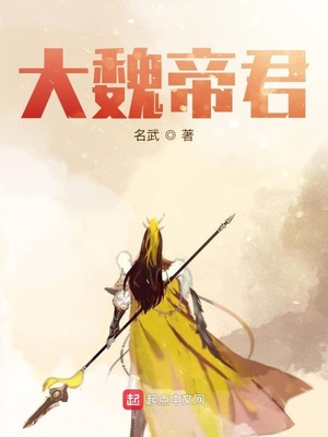 大魏帝君章节列表