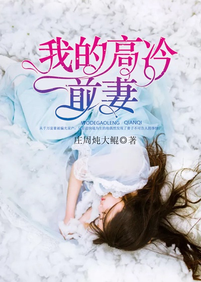 我的高冷前妻章节列表