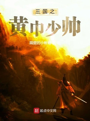 三国之黄巾少帅章节列表