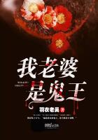 我老婆是鬼王（我老婆是女王）章节列表