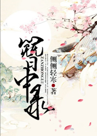 簪中录章节列表