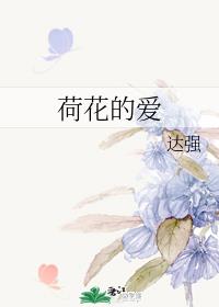 荷花的爱章节列表