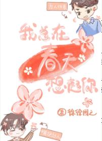 我总在春天想起你章节列表