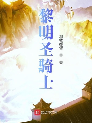 黎明圣骑士章节列表