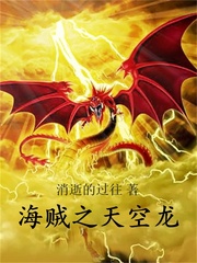 海贼之天空龙章节列表