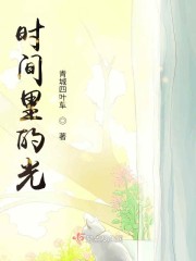时间里的光章节列表