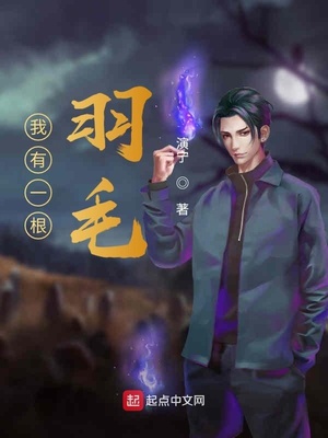 我有一根羽毛章节列表