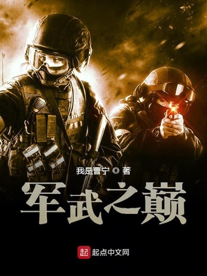 军武之巅章节列表