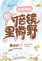 在陆神的八倍镜里撒野章节列表