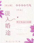 误入婚途[娱乐圈]章节列表