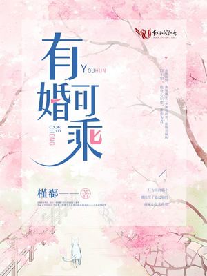 有婚可乘章节列表