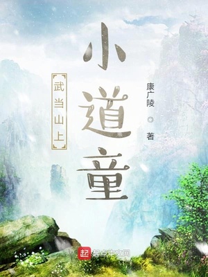 武当山上小道童章节列表