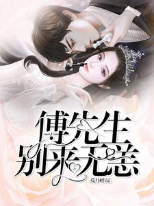 傅先生，别来无恙章节列表