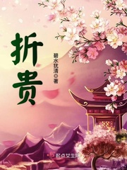 折贵章节列表