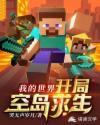 我的世界之开局空岛求生章节列表