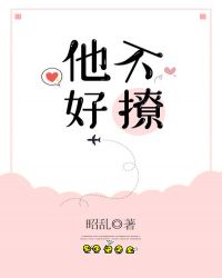 他不好撩[校园]章节列表