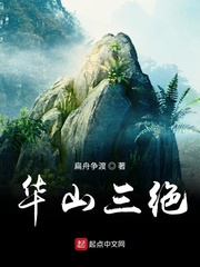 华山三绝章节列表