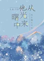 他从曙光中来章节列表