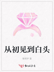 从初见到白头章节列表