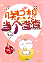 朕只想当个渣渣章节列表