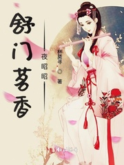 舒门茗香夜昭昭章节列表
