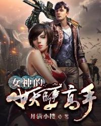 女神的妖孽高手章节列表