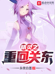 精灵之重回关东章节列表