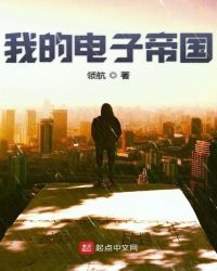 我的电子帝国章节列表