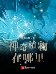 戴琳(剑舞中原)神奇植物在哪里？TXT章节列表