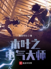 木叶之风暴之主章节列表