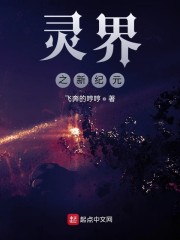 灵界之新纪元章节列表