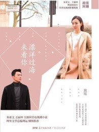 漂洋过海来看你章节列表