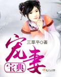 宠妻宝典章节列表