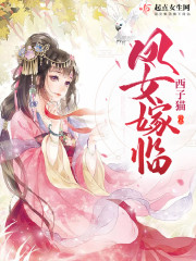 凤女嫁临章节列表