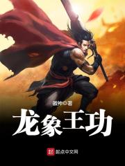 龙象王功章节列表