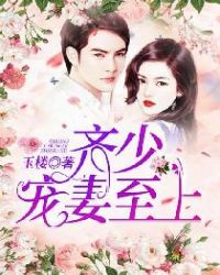 齐少，宠妻至上章节列表