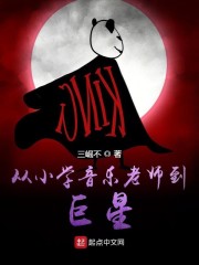 从小学音乐老师到巨星章节列表