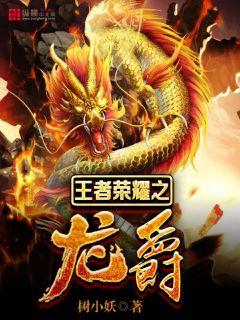 王者荣耀之龙爵章节列表