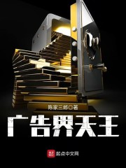 广告界天王章节列表