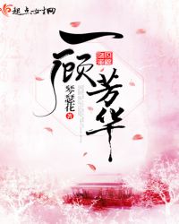 一顾芳华章节列表