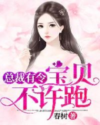 总裁有令：宝贝，不许跑！章节列表