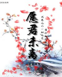 愿君未离章节列表