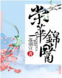 荣华锦医章节列表