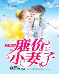 总裁的廉价小妻子章节列表