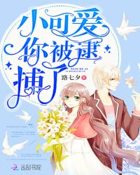 小可爱你被逮捕了章节列表