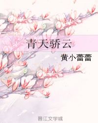 青天骄云章节列表