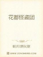 花都怪盗团章节列表
