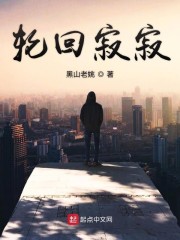 轮回寂寂章节列表